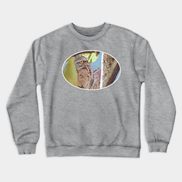 Golden Eye Crewneck Sweatshirt by kimberlyjtphotoart